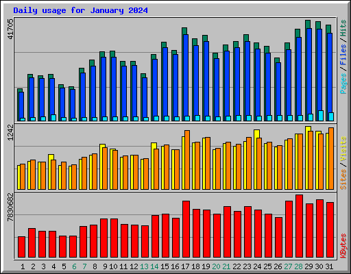 Daily usage for January 2024