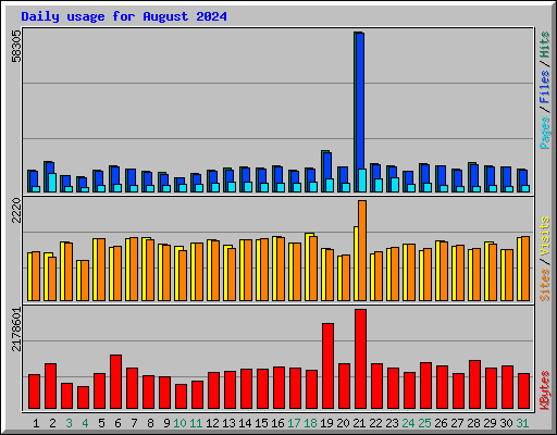 Daily usage for August 2024