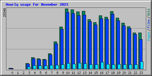 Hourly usage for November 2023