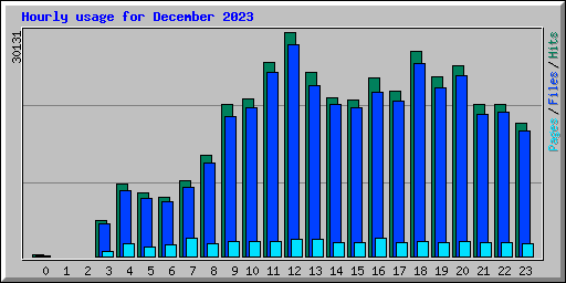 Hourly usage for December 2023