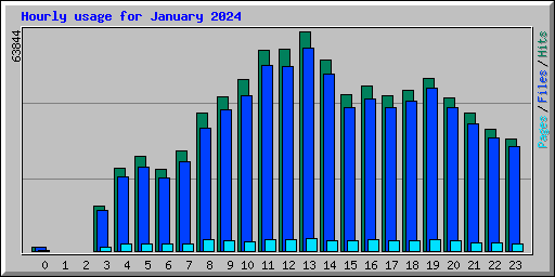 Hourly usage for January 2024