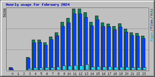 Hourly usage for February 2024