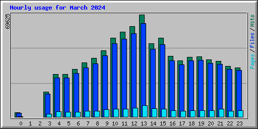 Hourly usage for March 2024