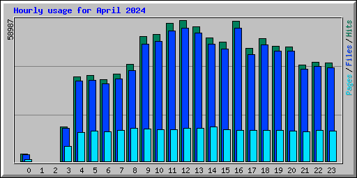 Hourly usage for April 2024