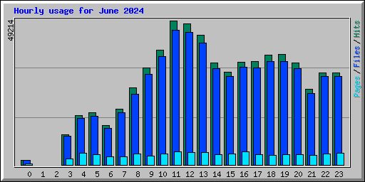 Hourly usage for June 2024