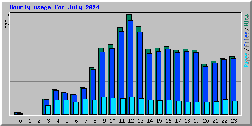 Hourly usage for July 2024