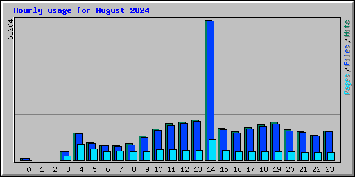 Hourly usage for August 2024