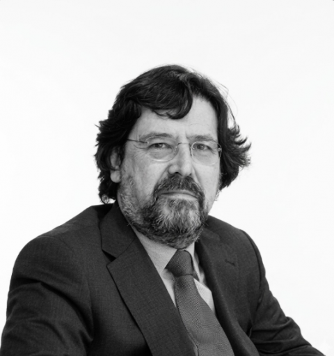 Miembro de Gobierno